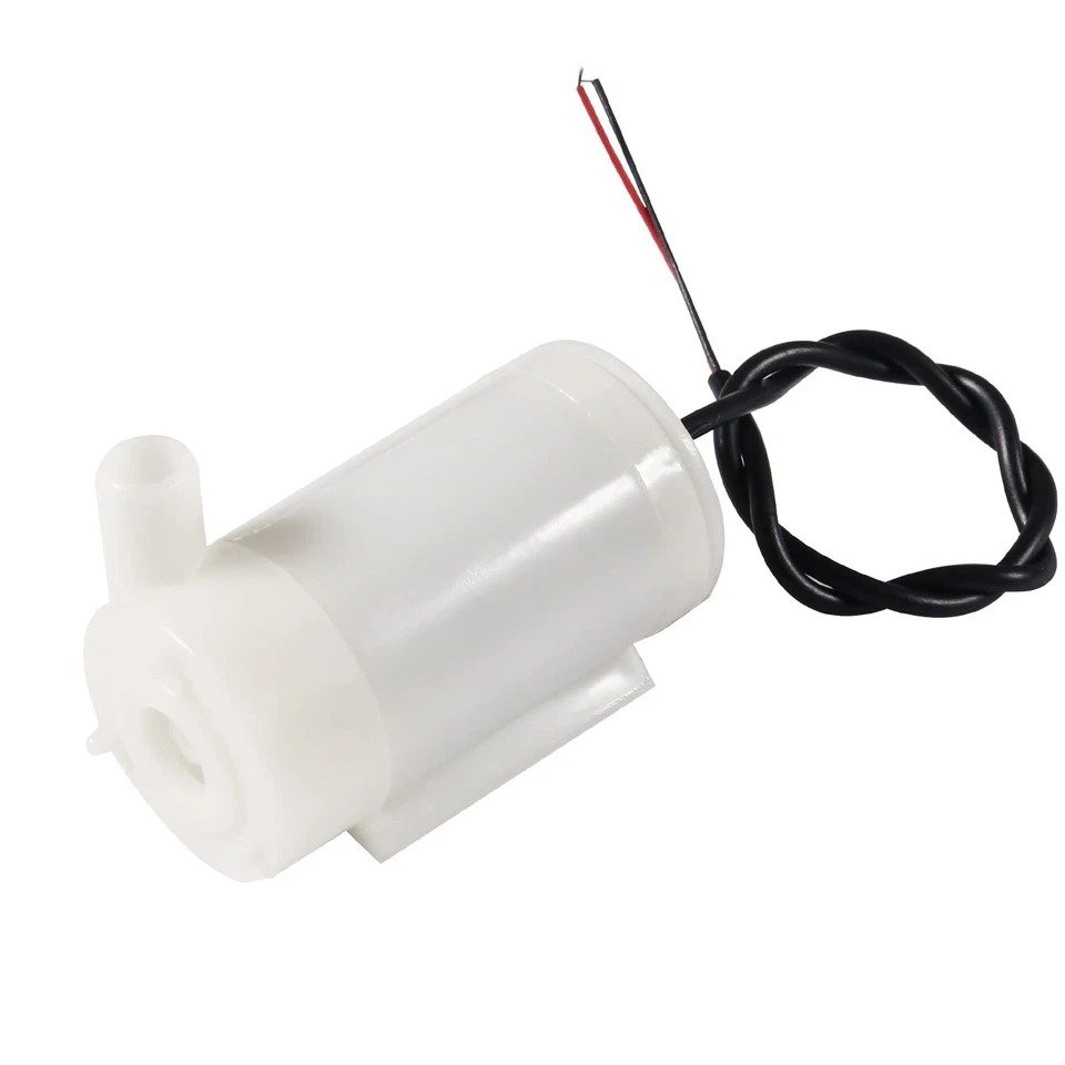 IMG_7450